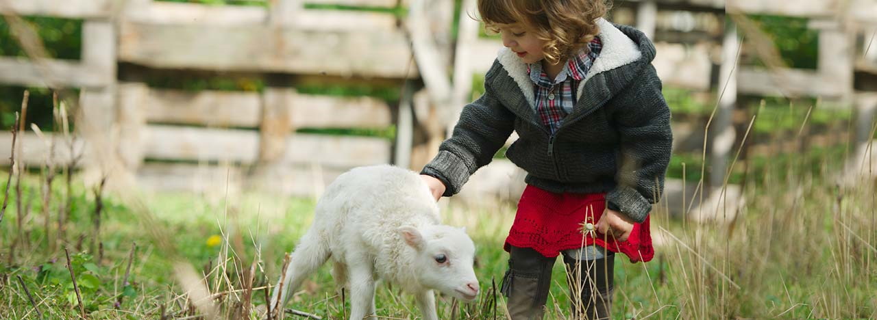 Agroturismo para niños