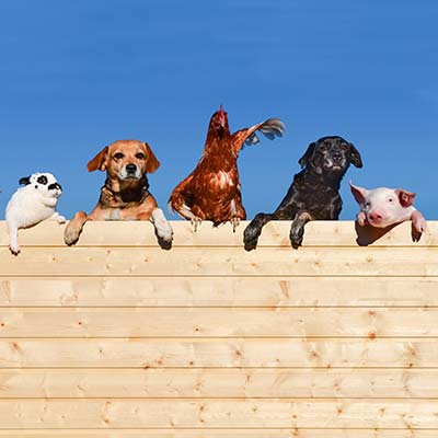 Casa de campo con animales de granja.