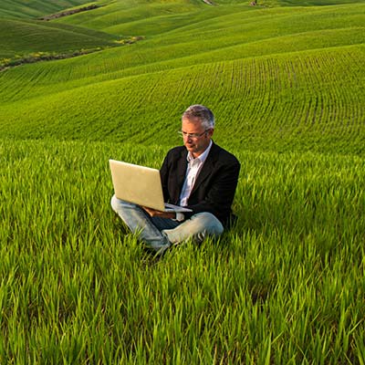 Vacaciones de trabajo en la granja